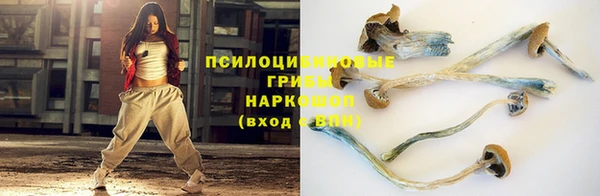 дурь Алексеевка
