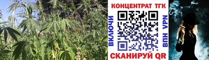 ТГК вейп с тгк  Чернушка 