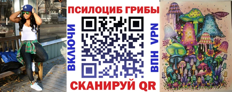 Галлюциногенные грибы GOLDEN TEACHER  купить наркотики сайты  Чернушка 