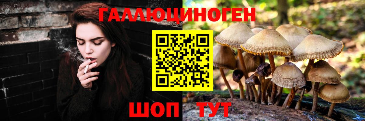 наркотики  Галлюциногенные грибы GOLDEN TEACHER  Вход с VPN  Чернушка 