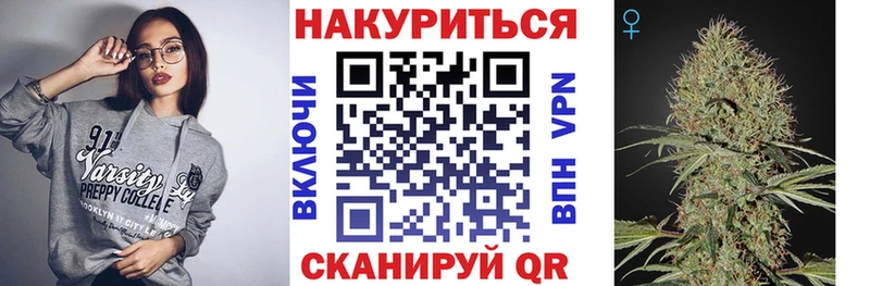 Конопля сатива  Чернушка 