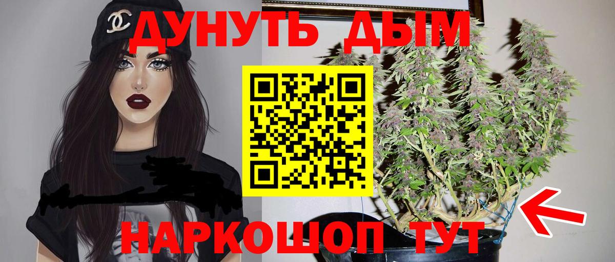 Канабис Ganja  Вход с VPN  Чернушка  Конопля OG Kush  Бошки Шишки Bruce Banner 